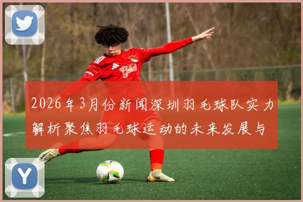 2026年3月份新闻深圳羽毛球队实力解析聚焦羽毛球运动的未来发展与挑战