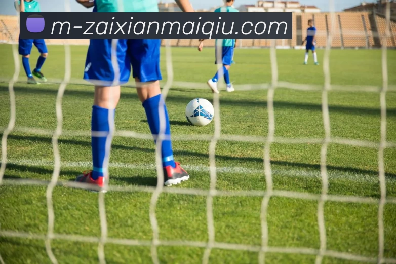 App Interface Preview